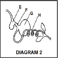 2.1 diagram 2 aiuhdiuad