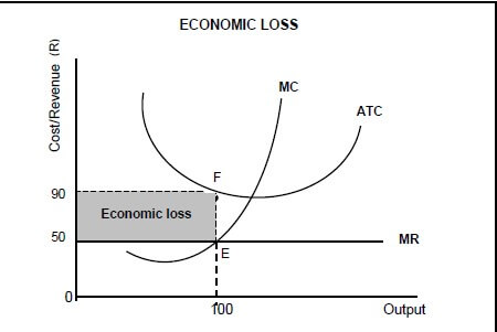 economics paper 2 essays grade 12 pdf