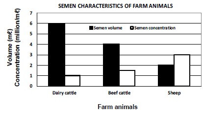 GRAPH 4